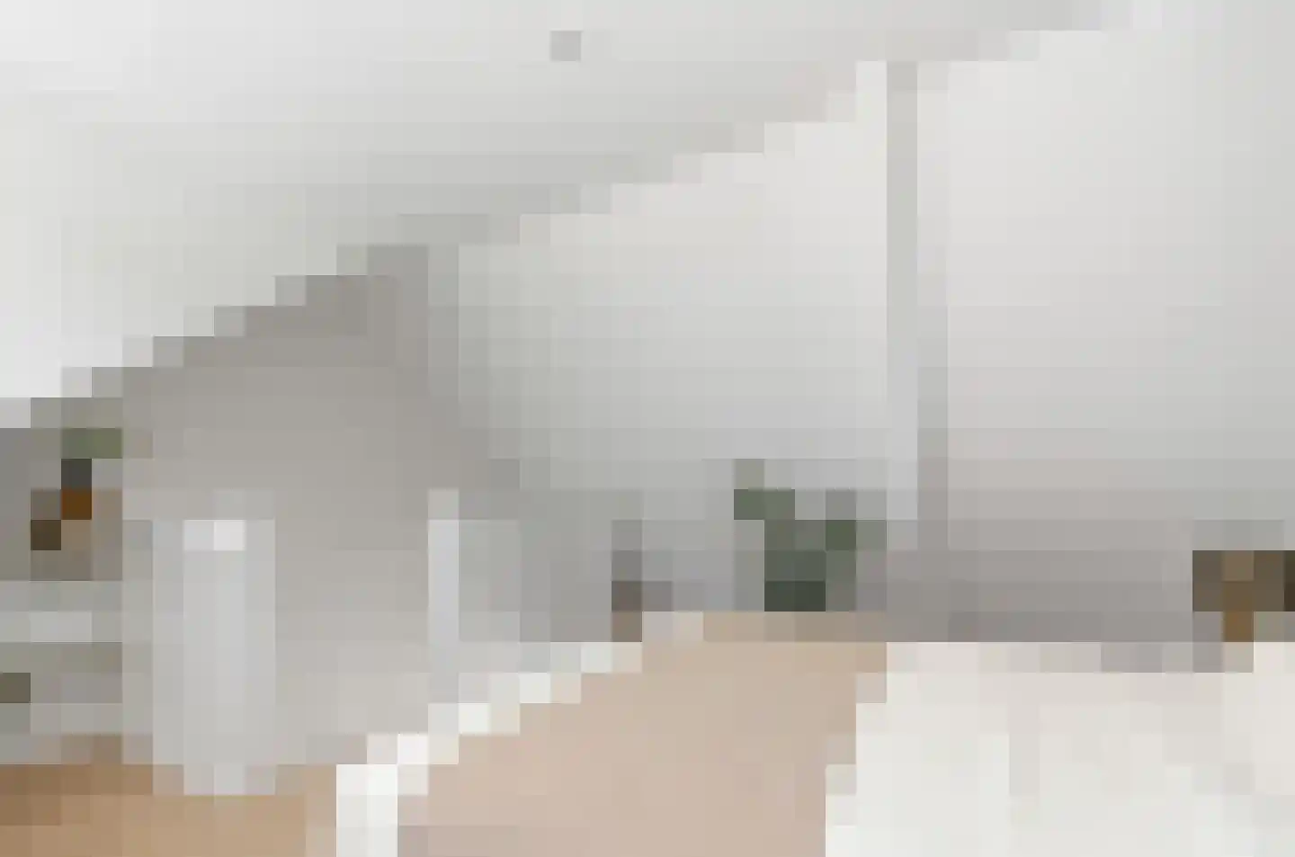 Tulpstraat 37 Utrecht thumbnail 38