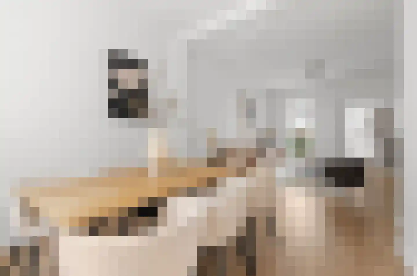 Tulpstraat 37 Utrecht thumbnail 6