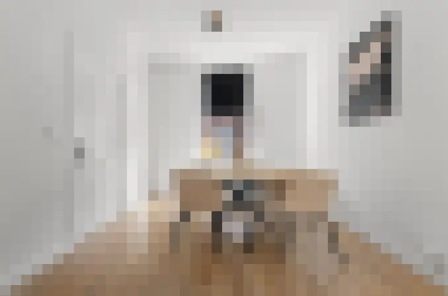 Tulpstraat 37 Utrecht thumbnail 7