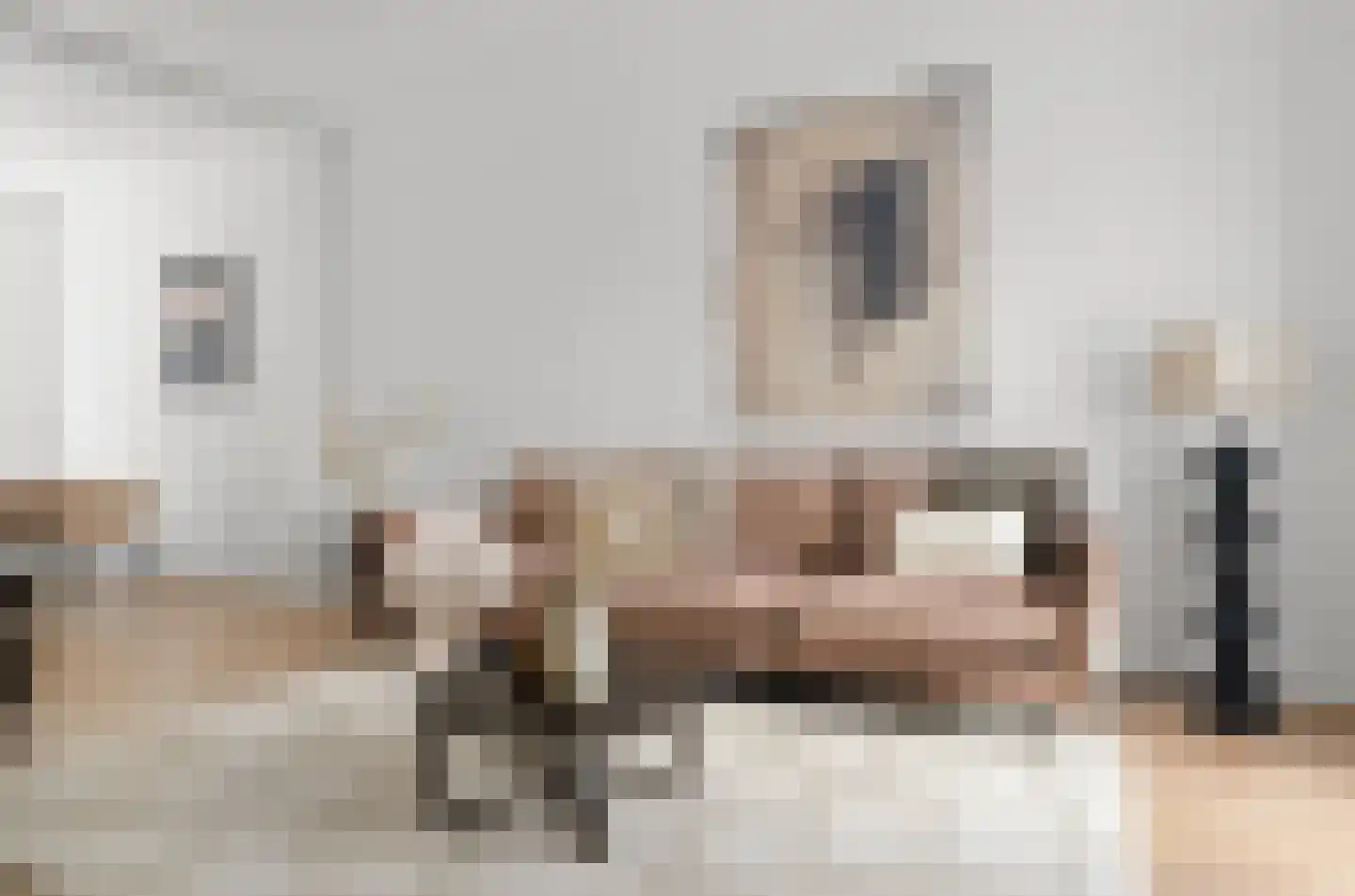 Tulpstraat 37 Utrecht thumbnail 9