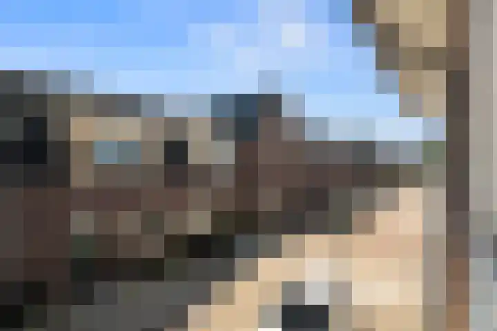 Tulpstraat 4 Alkmaar thumbnail 18