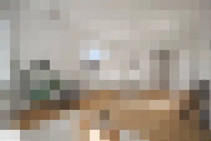 Tulpstraat 4 Alkmaar thumbnail 6