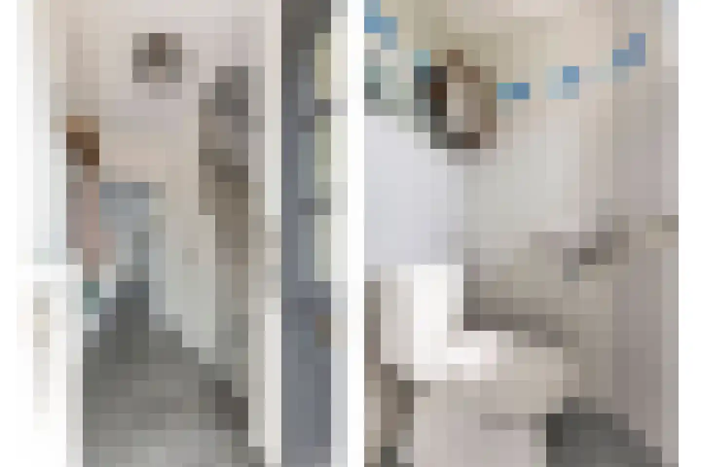 Tulpstraat 4 Echteld thumbnail 11