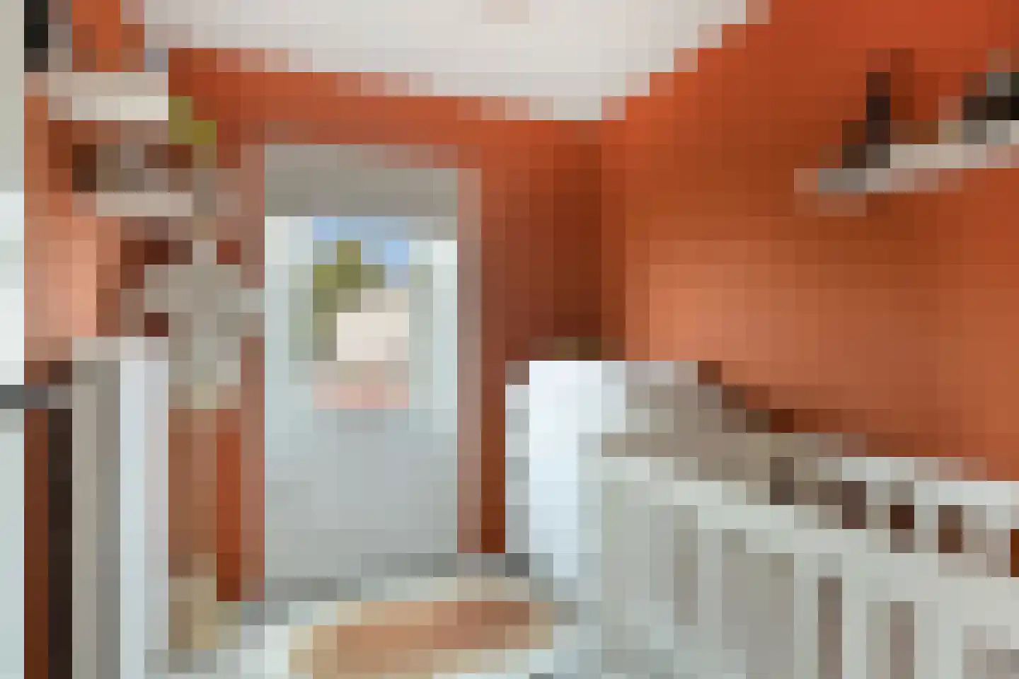 Tulpstraat 4 Echteld thumbnail 15
