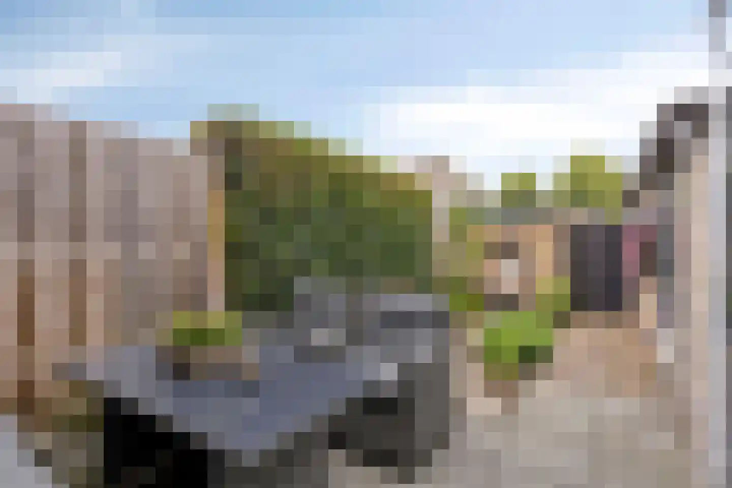 Tulpstraat 4 Echteld thumbnail 27