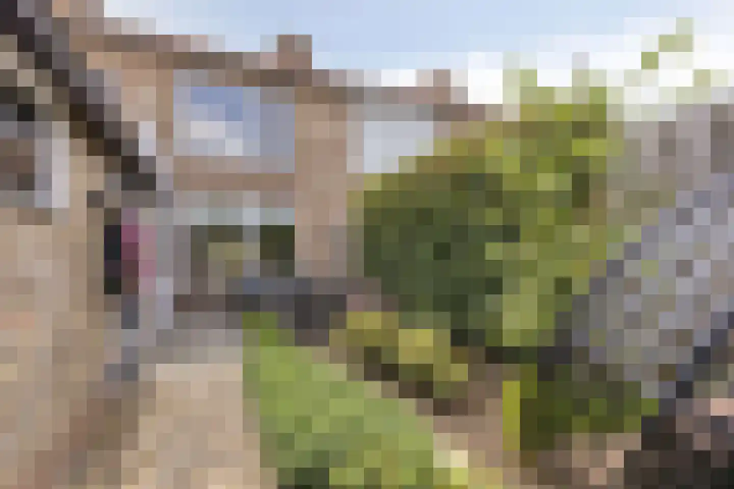 Tulpstraat 4 Echteld thumbnail 28