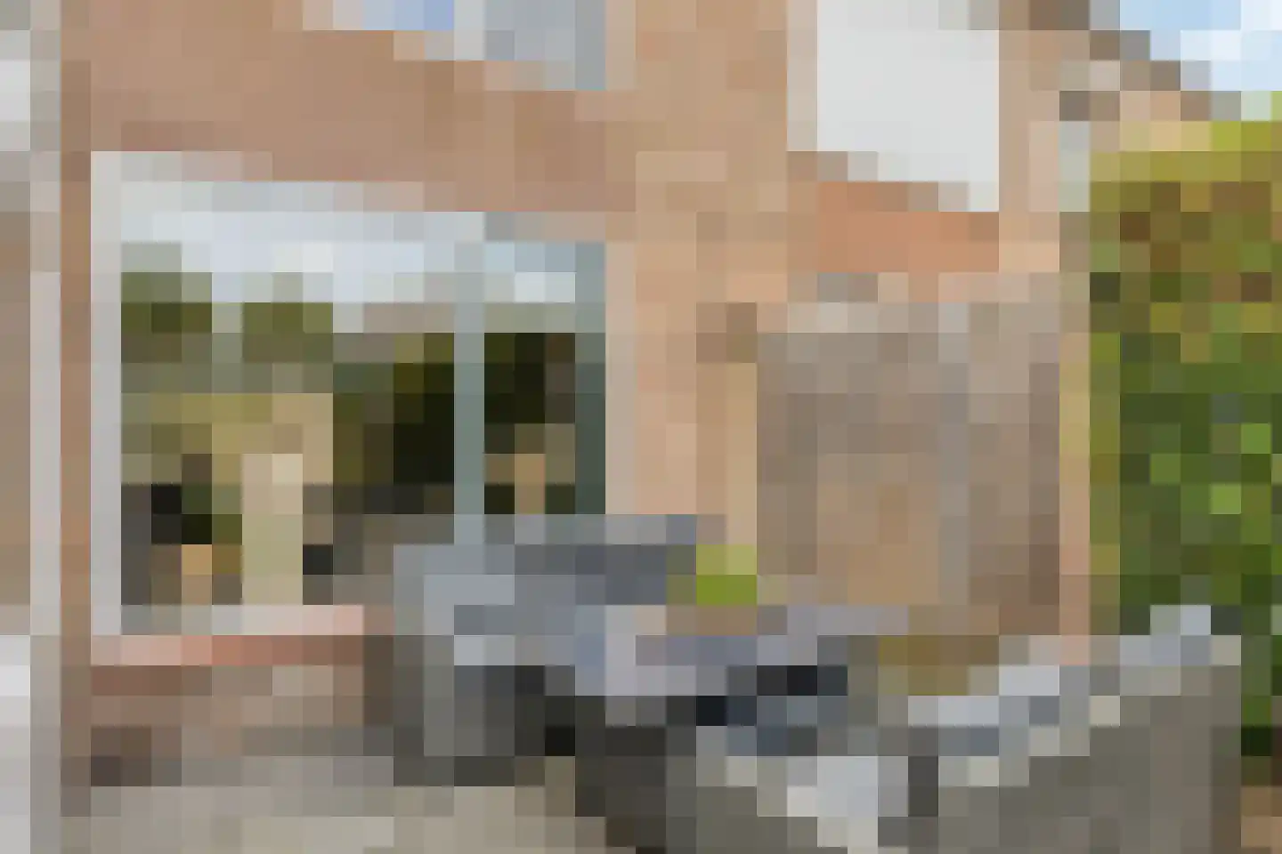 Tulpstraat 4 Echteld thumbnail 29
