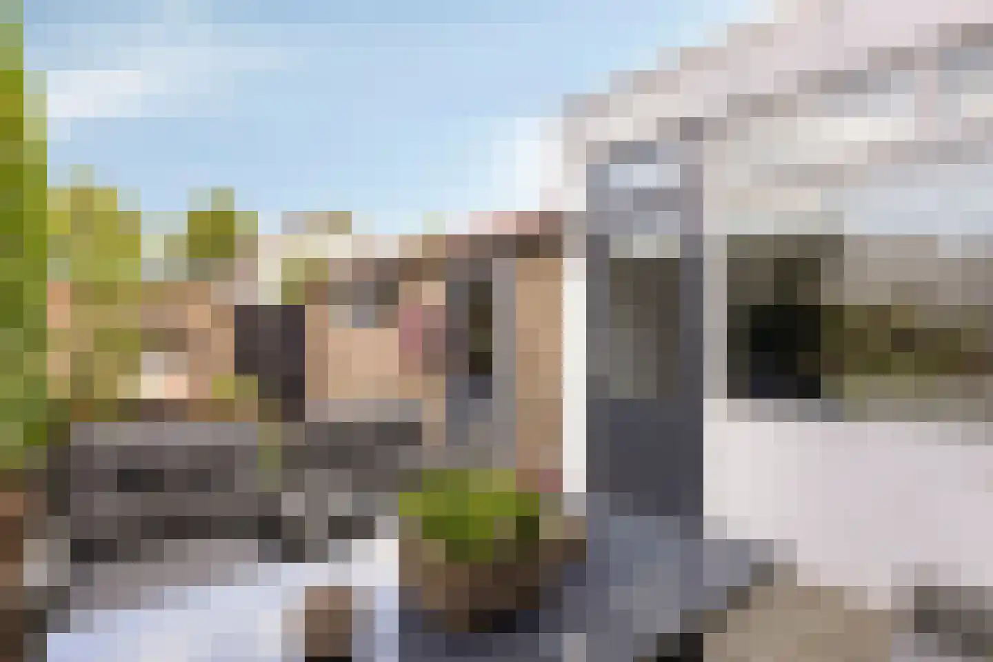Tulpstraat 4 Echteld thumbnail 30