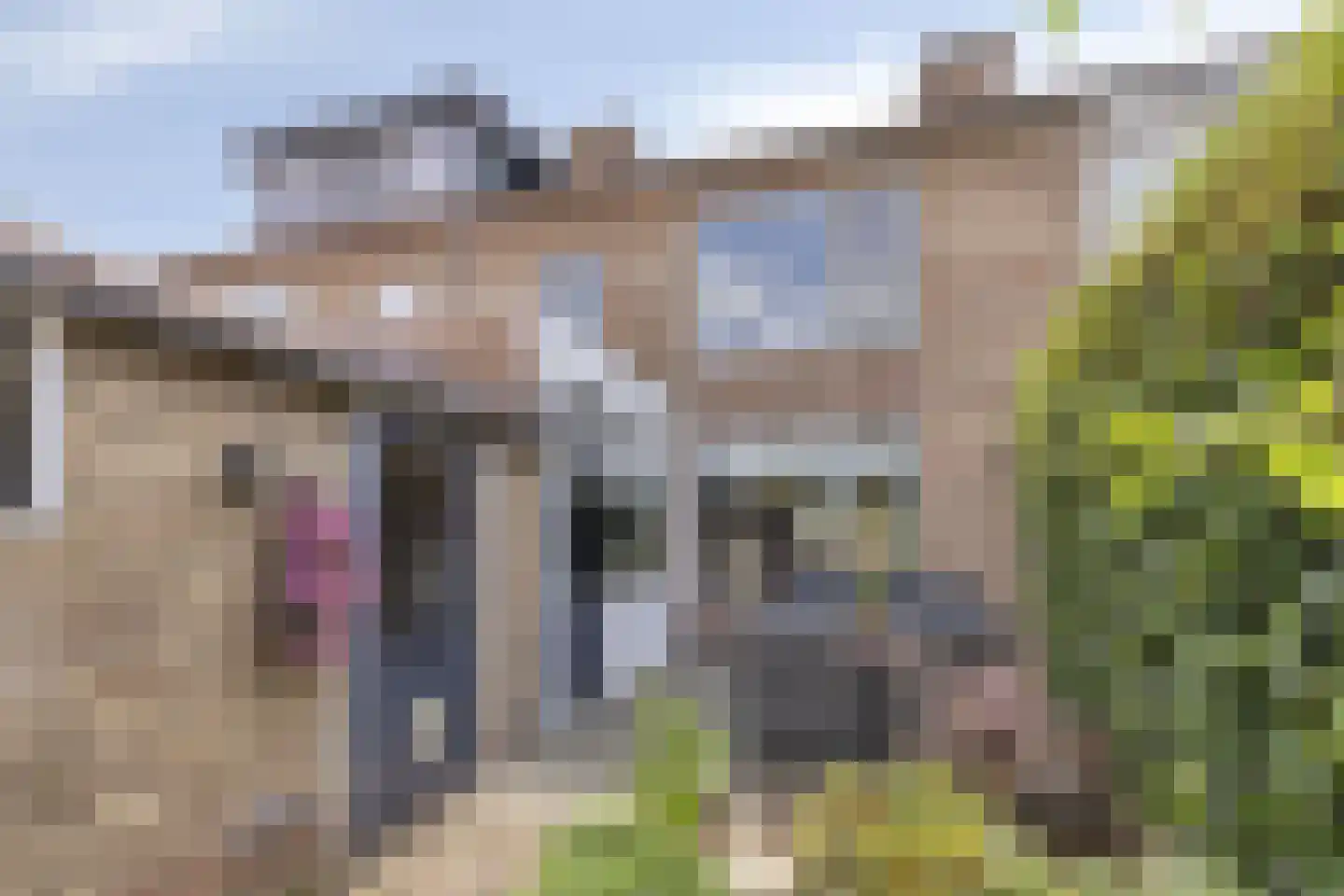 Tulpstraat 4 Echteld thumbnail 31