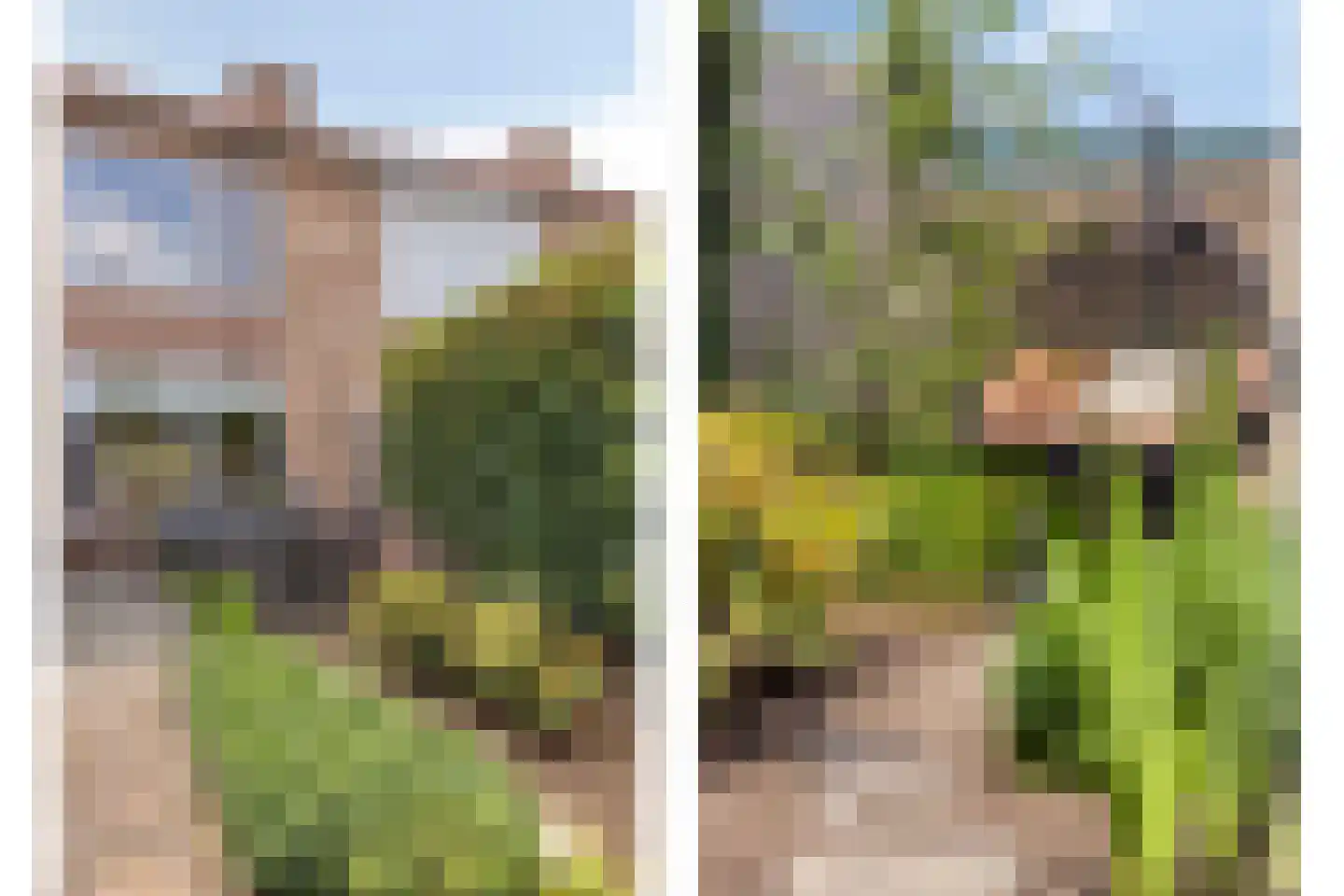 Tulpstraat 4 Echteld thumbnail 32