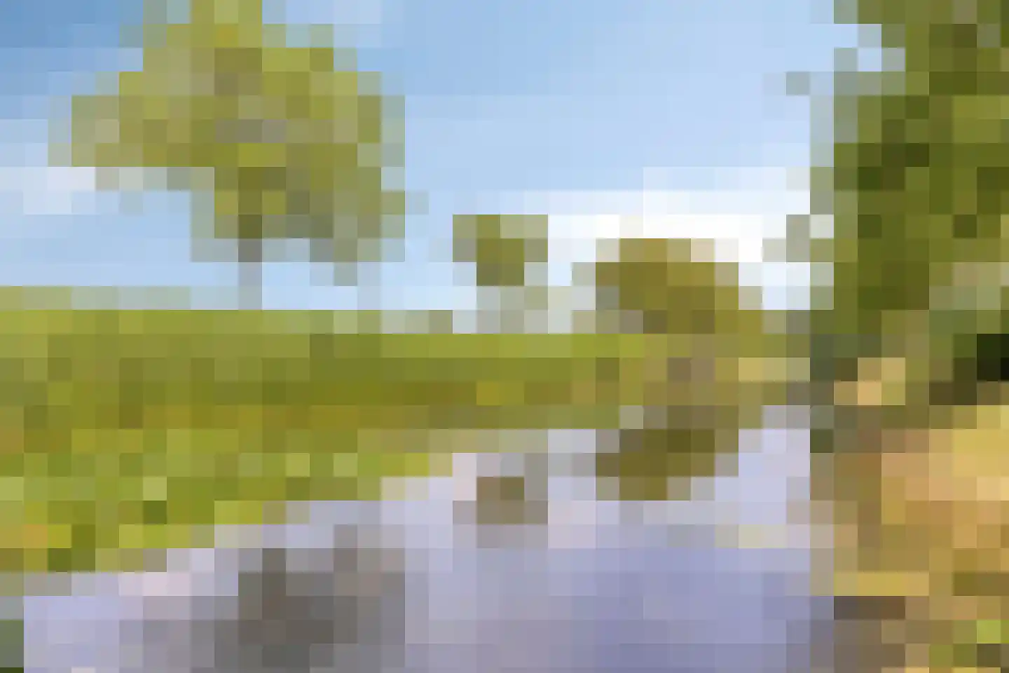 Tulpstraat 4 Echteld thumbnail 35