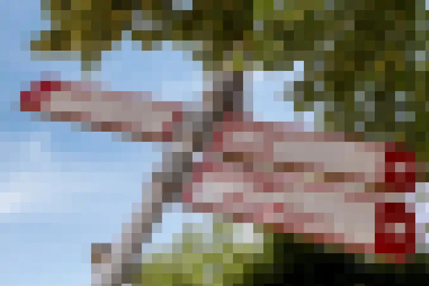 Tulpstraat 4 Echteld thumbnail 36