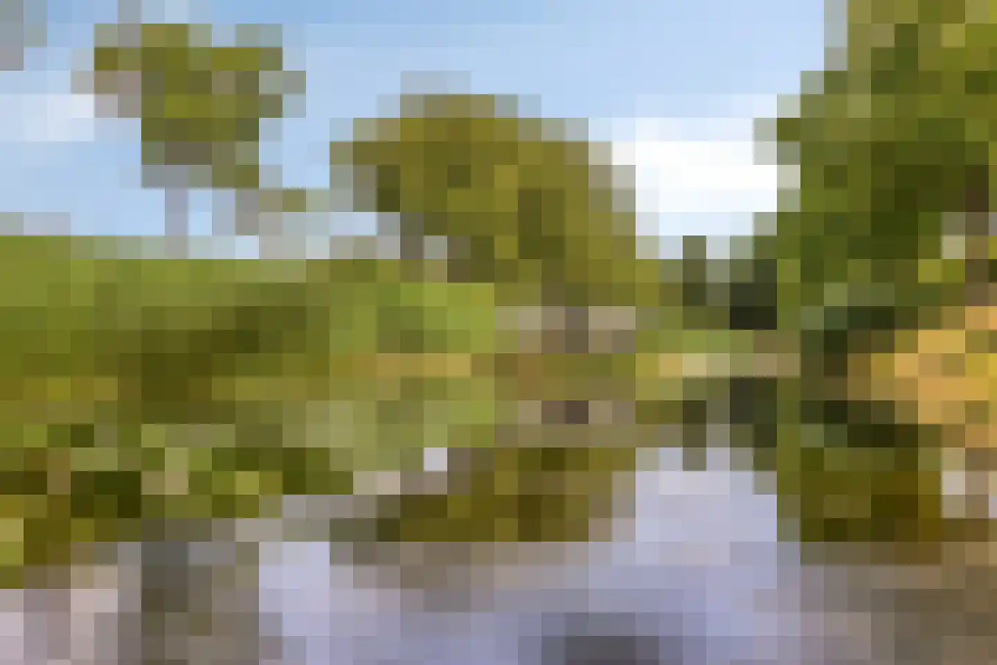 Tulpstraat 4 Echteld thumbnail 37