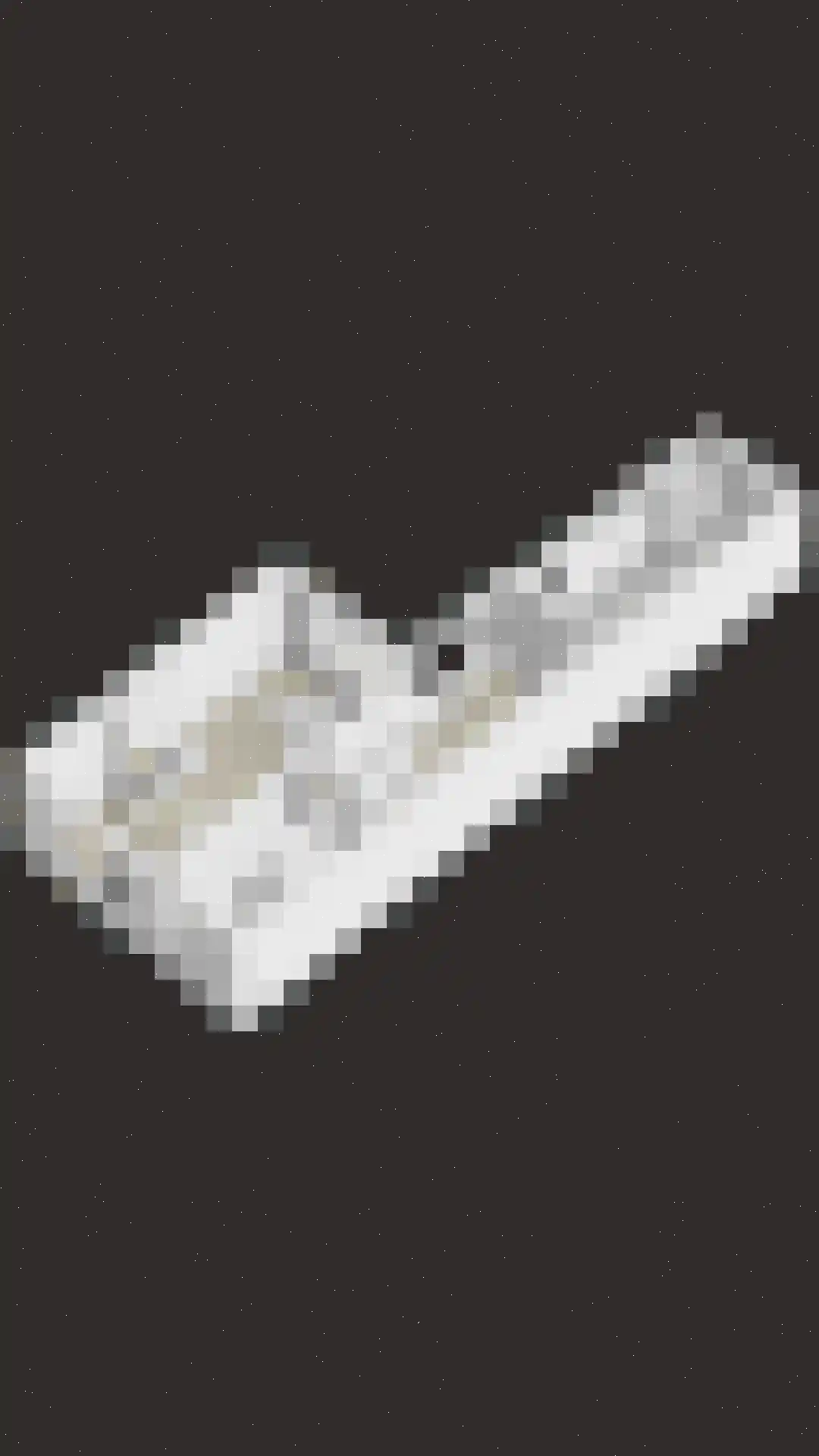 Tulpstraat 4 Echteld thumbnail 38