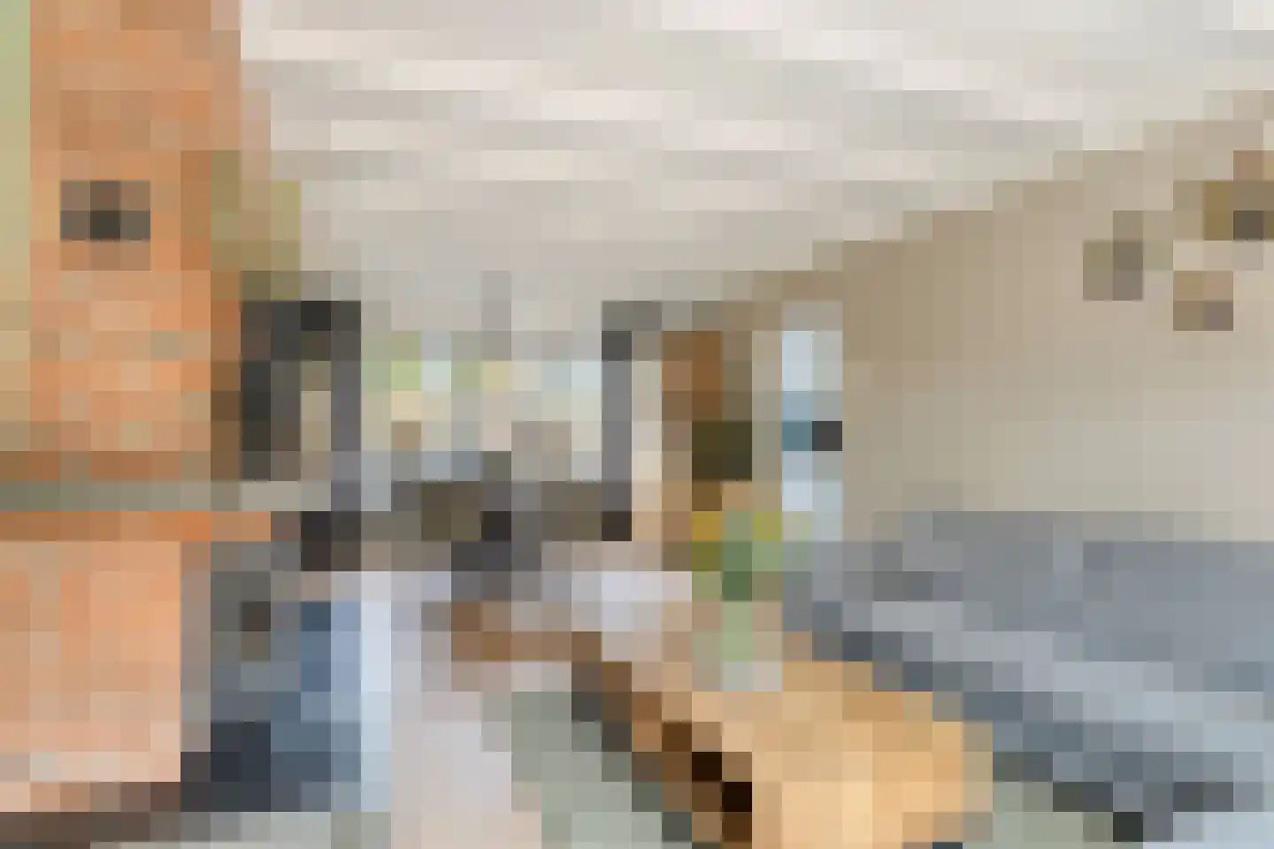 Tulpstraat 4 Echteld thumbnail 4