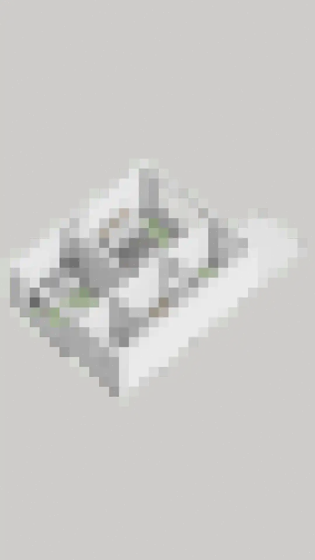 Tulpstraat 4 Echteld thumbnail 40