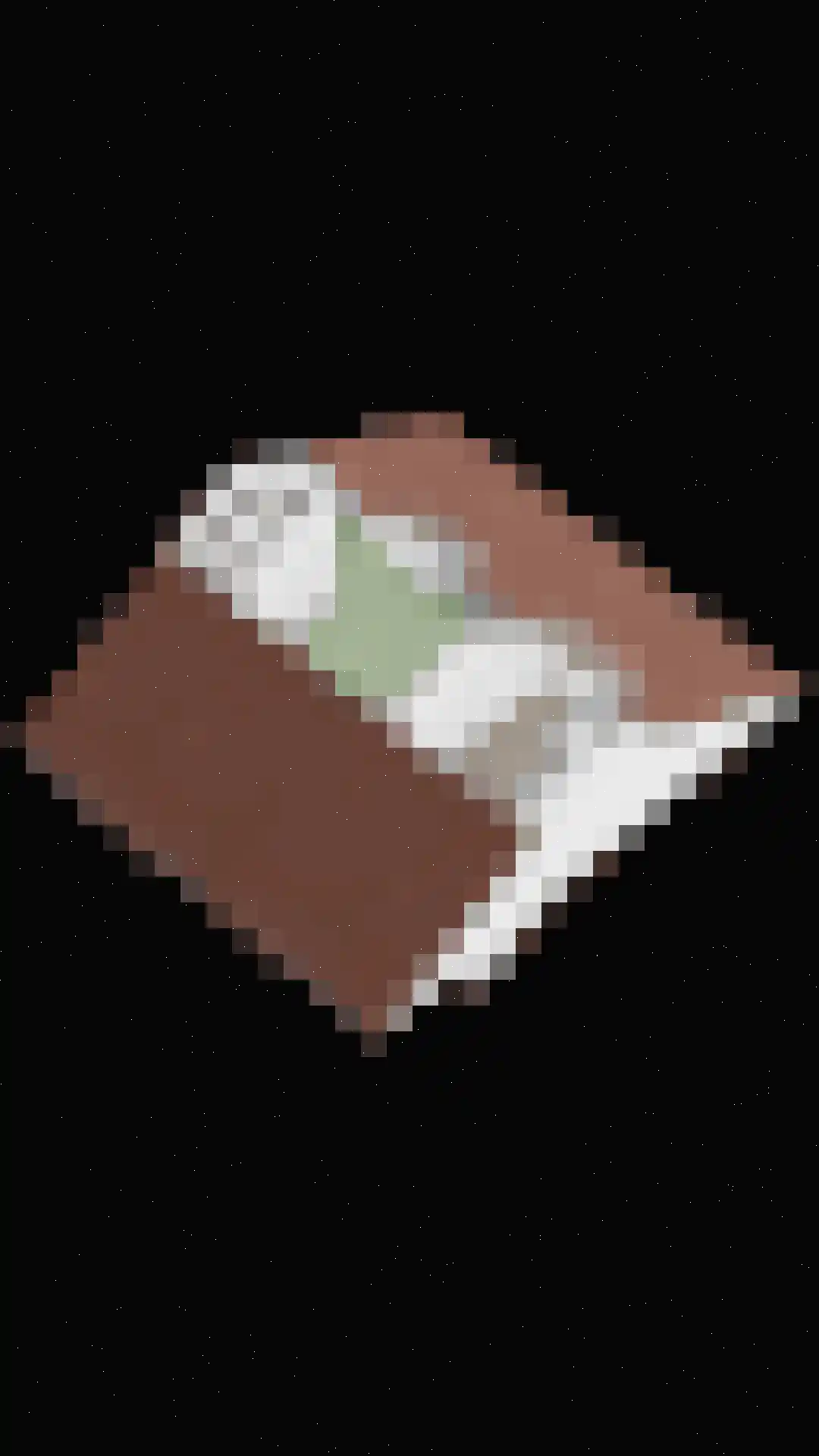 Tulpstraat 4 Echteld thumbnail 42