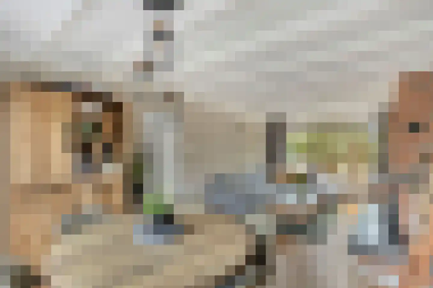 Tulpstraat 4 Echteld thumbnail 6