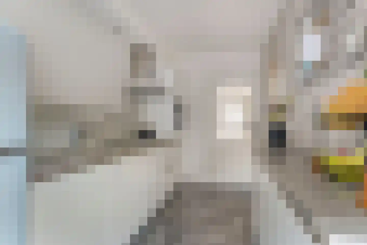 Tulpstraat 4 Echteld thumbnail 7