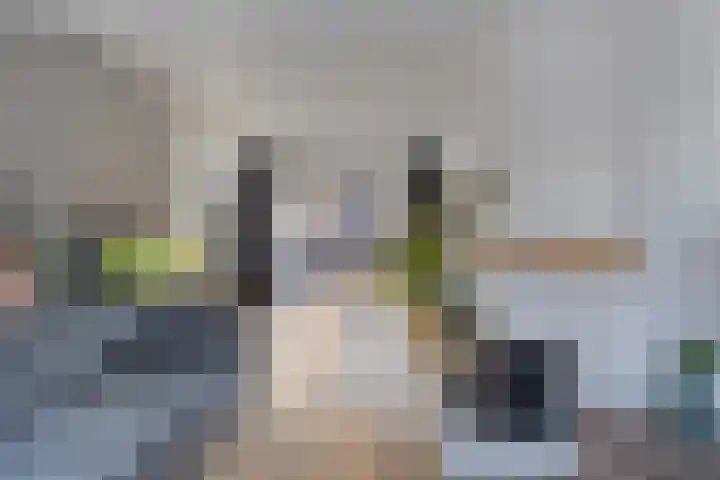 Tulpstraat 4 Goes thumbnail 10