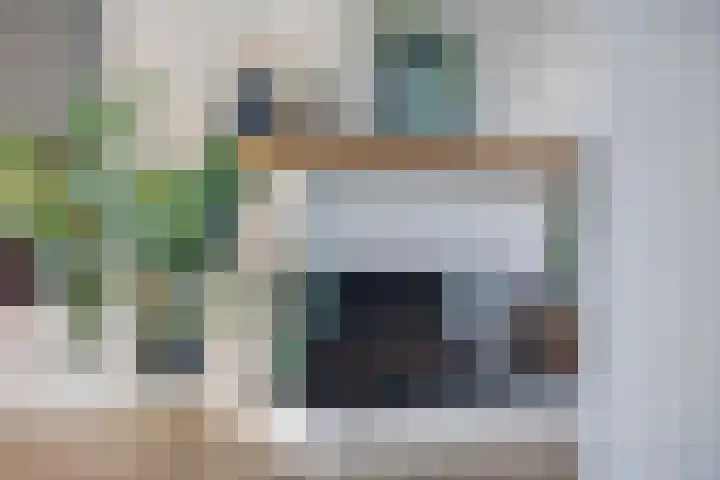 Tulpstraat 4 Goes thumbnail 11