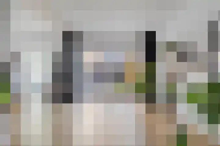 Tulpstraat 4 Goes thumbnail 12