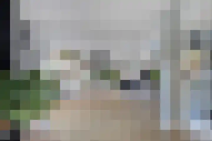 Tulpstraat 4 Goes thumbnail 15