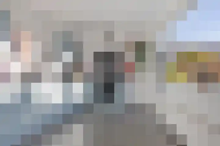 Tulpstraat 4 Goes thumbnail 16