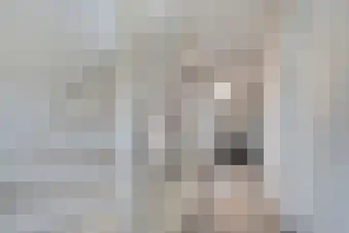 Tulpstraat 4 Goes thumbnail 19