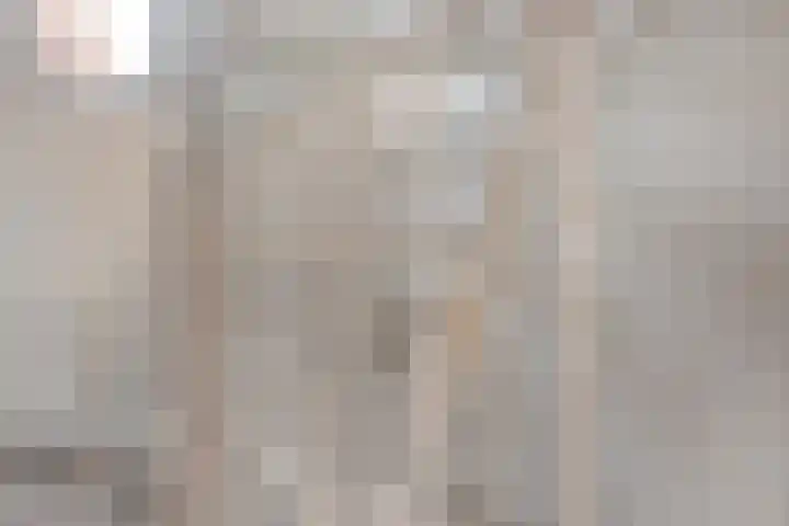 Tulpstraat 4 Goes thumbnail 20