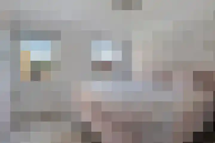 Tulpstraat 4 Goes thumbnail 21