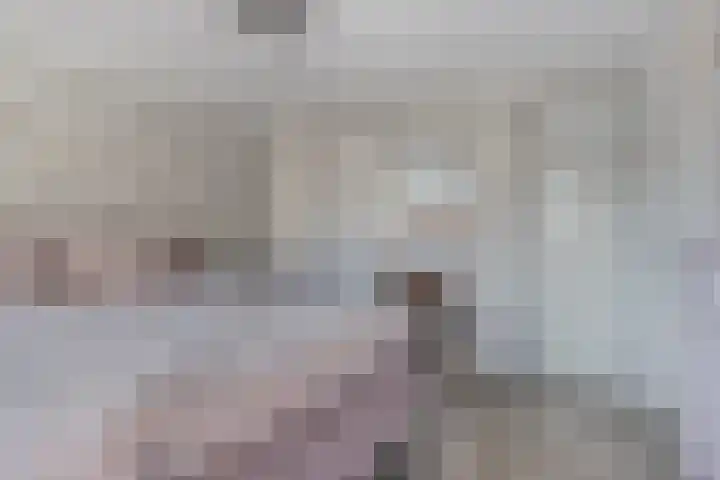 Tulpstraat 4 Goes thumbnail 22