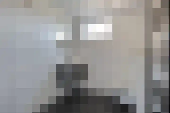 Tulpstraat 4 Goes thumbnail 24