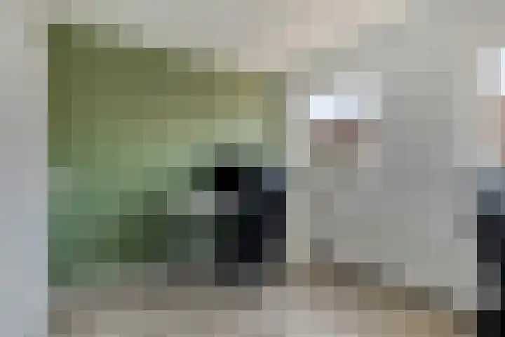 Tulpstraat 4 Goes thumbnail 27