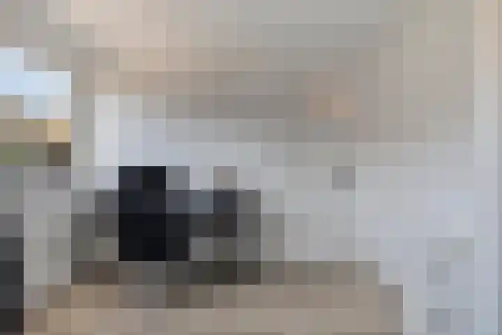 Tulpstraat 4 Goes thumbnail 28