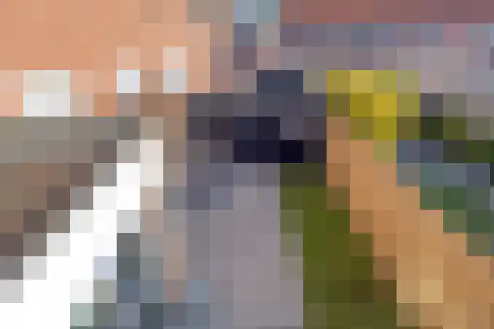 Tulpstraat 4 Goes thumbnail 32