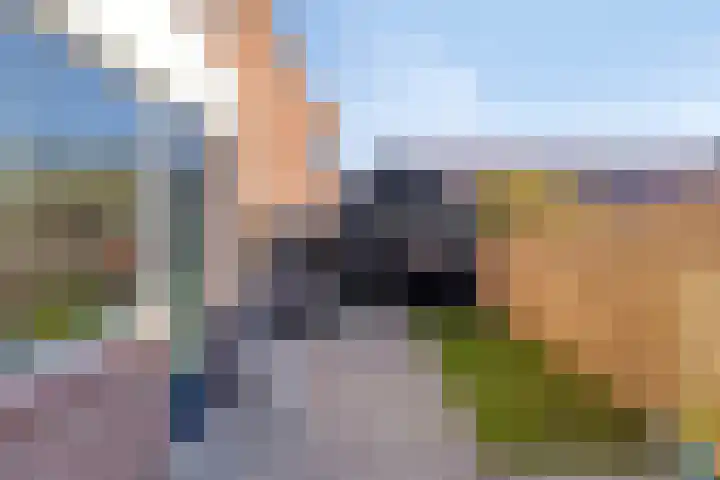 Tulpstraat 4 Goes thumbnail 34