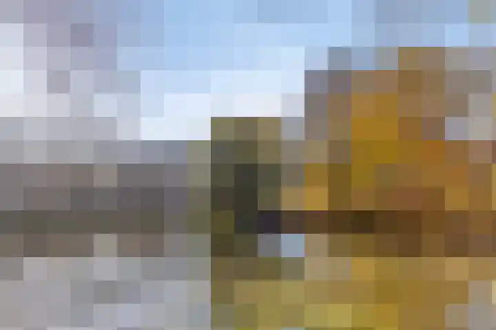 Tulpstraat 4 Goes thumbnail 37