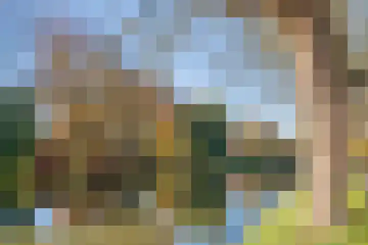 Tulpstraat 4 Goes thumbnail 38
