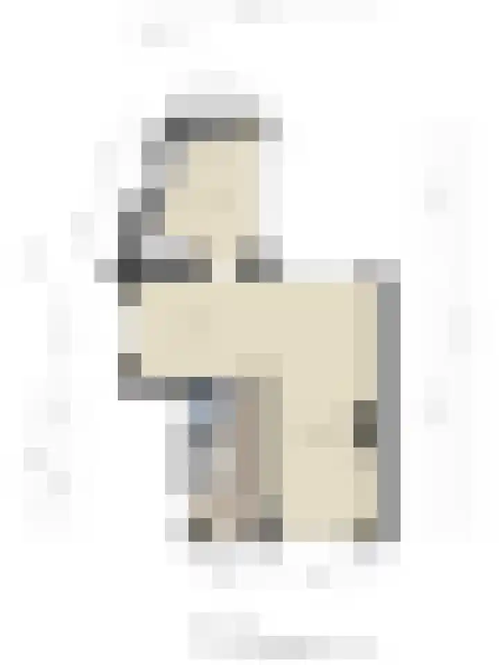 Tulpstraat 4 Goes thumbnail 39