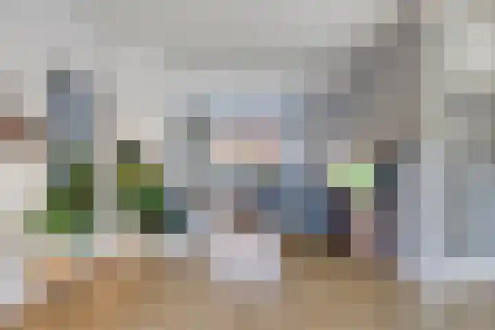 Tulpstraat 4 Goes thumbnail 9