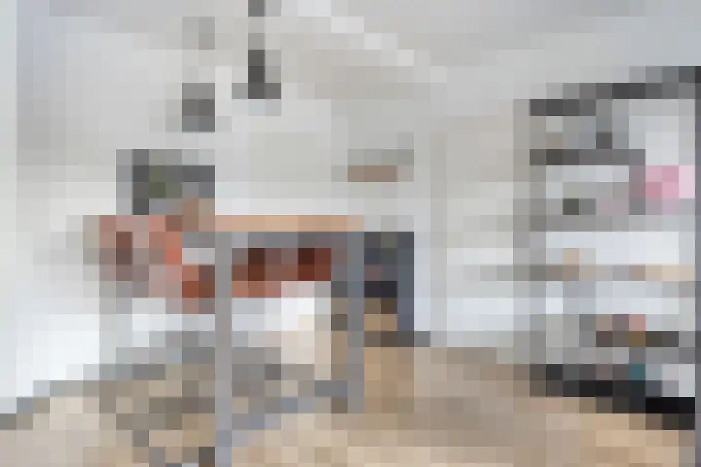 Tulpstraat 4 Zwijndrecht thumbnail 11