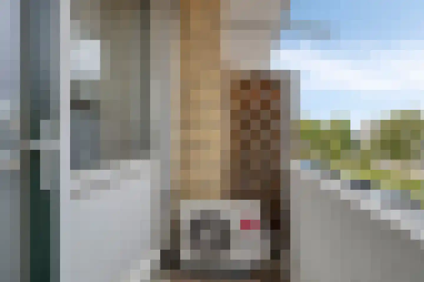 Tulpstraat 4 Zwijndrecht thumbnail 16