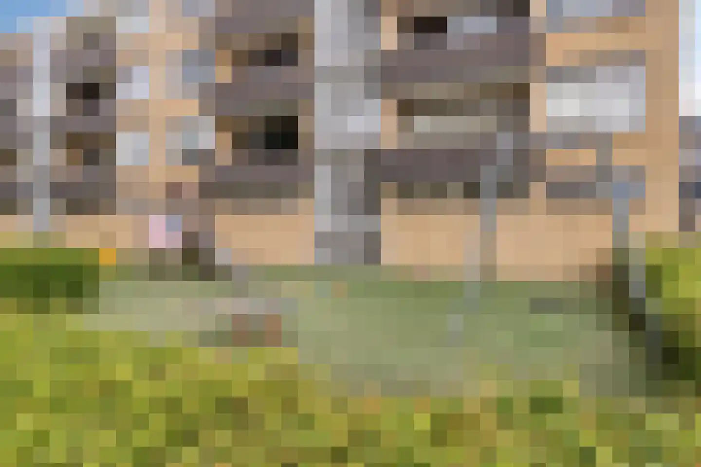 Tulpstraat 4 Zwijndrecht thumbnail 27