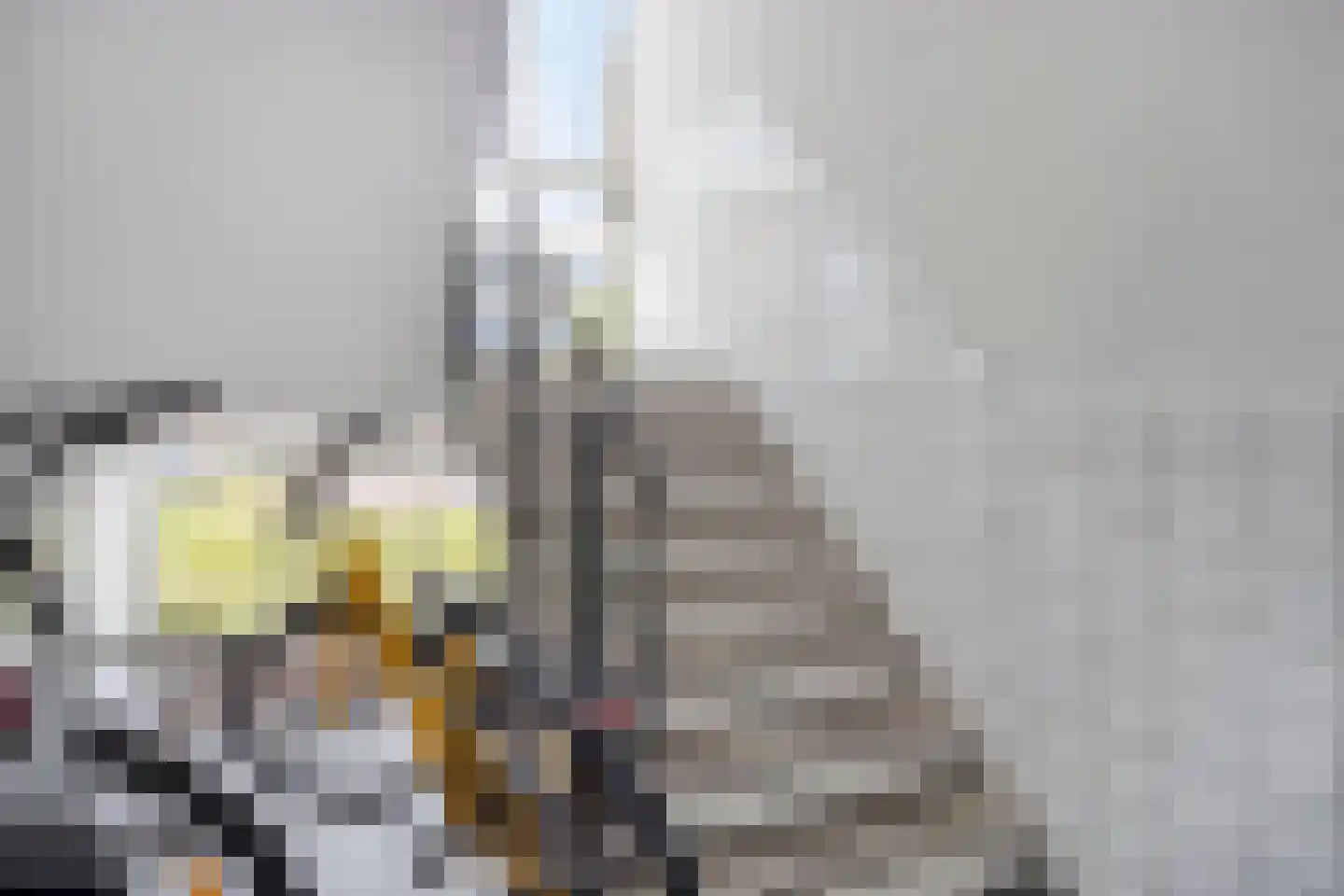 Tulpstraat 4 Zwijndrecht thumbnail 7