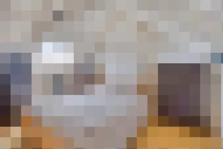 Tulpstraat 42 Goes thumbnail 22