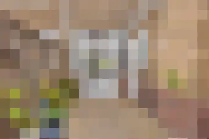 Tulpstraat 42 Goes thumbnail 24