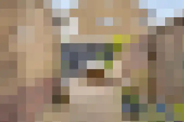 Tulpstraat 42 Goes thumbnail 25