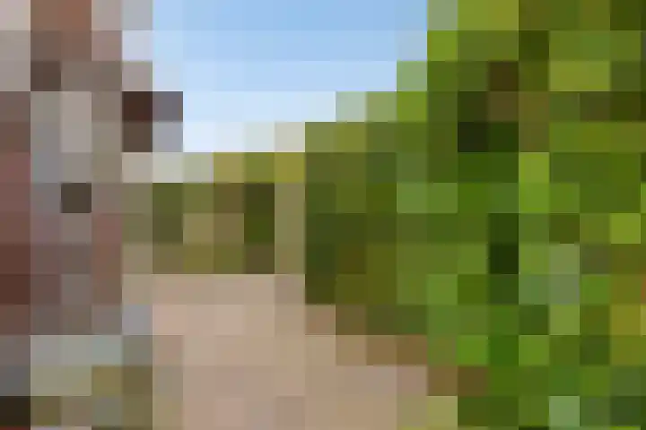 Tulpstraat 42 Goes thumbnail 28