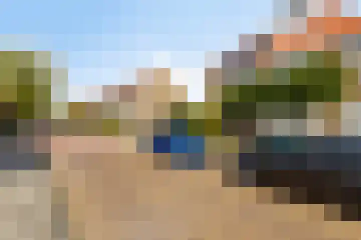 Tulpstraat 42 Goes thumbnail 6
